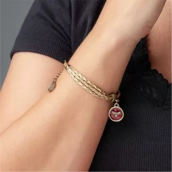 PULSEIRA DOURADA ESPÍRITO SANTO